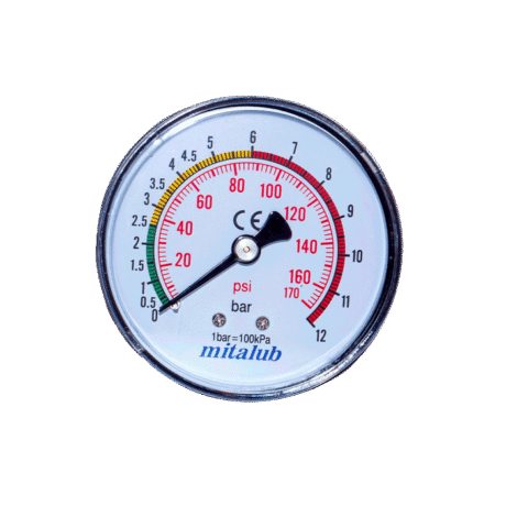 Lastik Şişirme için Manometreler